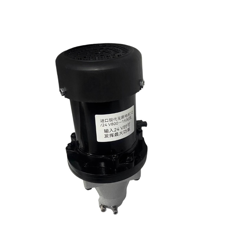 12V-60V 500W-1500W Brushless O - Fishing Boat Outboard Motor review and price